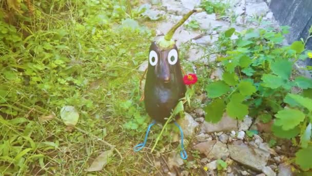 Vicces Figura Kerti Padlizsánból Egy Példa Zöldségekkel Végzett Dekorációs Munkára — Stock videók