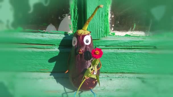 Figure Drôle Aubergine Dans Jardin Exemple Travail Décoratif Avec Des — Video