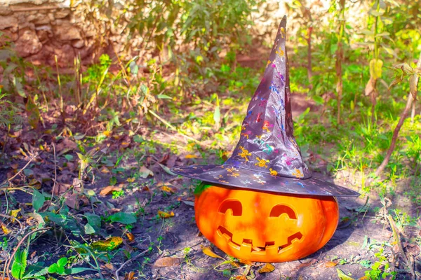 Engraçado Esculpida Abóbora Jardim Halloween Fundo — Fotografia de Stock
