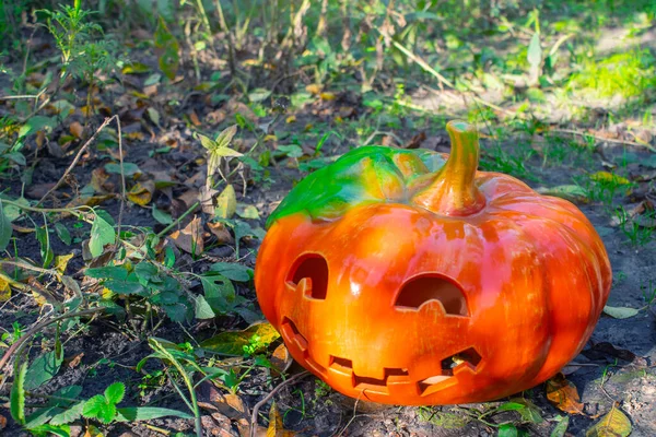 Vicces Faragott Tök Kertben Halloween Háttér — Stock Fotó