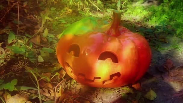 Engraçado Esculpida Abóbora Jardim Halloween Fundo — Vídeo de Stock