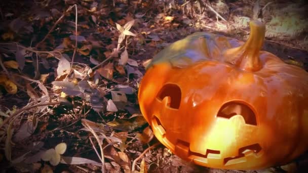 Calabaza Tallada Divertida Jardín Fondo Halloween — Vídeos de Stock
