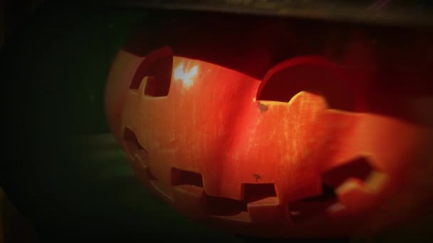Engraçado Esculpida Abóbora Jardim Halloween Fundo — Vídeo de Stock