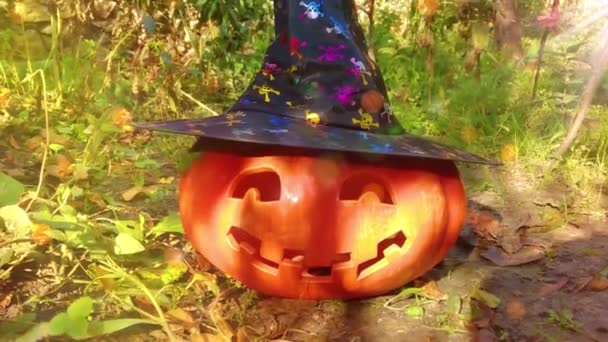 Funny Carved Pumpkin Garden Halloween Background — Stock Video