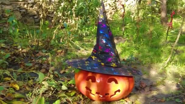 Engraçado Esculpida Abóbora Jardim Halloween Fundo — Vídeo de Stock