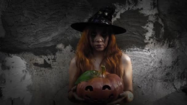 年轻性感的女巫手里拿着一个雕刻的南瓜万圣节背景 — 图库视频影像