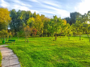 Parlak güneşli bir günde sonbahar parkı