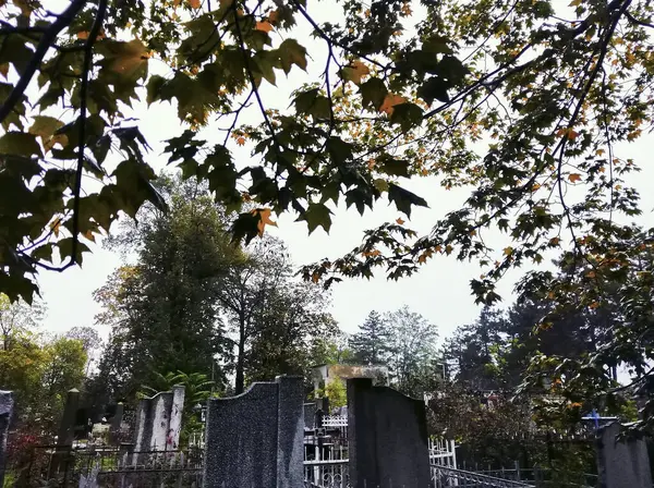 Cemitério Durante Dia Chuvoso Nebuloso Outono — Fotografia de Stock