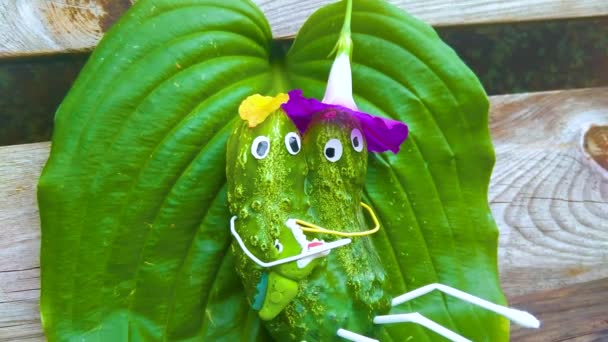 Funny Figure Cucumbers Garden Example Decorative Work Vegetables Autumn Harvest — Stock Video