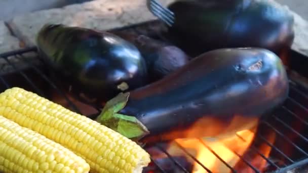 Aubergine Cuite Avec Épi Maïs Doré Sur Barbecue Cheminée Extérieur — Video