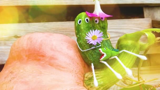 Funny Figure Cucumbers Garden Example Decorative Work Vegetables Autumn Harvest — Stock Video