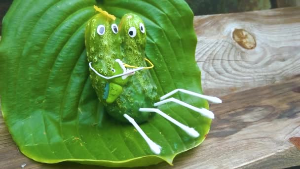 Bahçedeki Salatalıklardan Komik Bir Figür Sebzelerle Dekoratif Bir Çalışma Örneği — Stok video