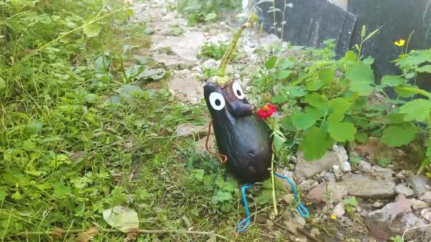 Bahçedeki Patlıcandan Komik Bir Figür Sebzelerle Dekoratif Bir Çalışma Örneği — Stok video