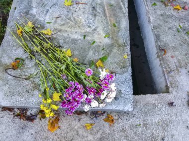 Yeni boş bir mezar aç, mezarlık. Taş kaplı yeşil yosun..