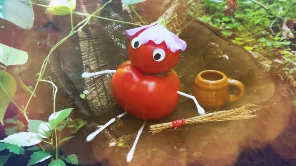 Figura Engraçada Tomates Jardim Exemplo Trabalho Decorativo Com Legumes Colheita — Vídeo de Stock