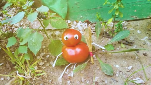 Figura Divertente Pomodori Giardino Esempio Lavoro Decorativo Con Verdure Raccolta — Video Stock