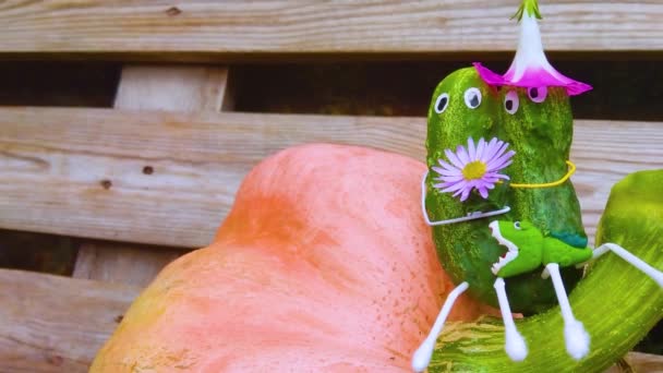 Vicces Figura Uborkából Kertben Egy Példa Zöldségekkel Végzett Dekorációs Munkára — Stock videók