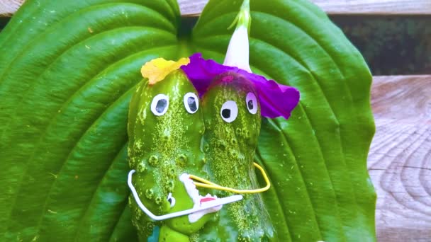 庭のキュウリから面白い図 野菜との装飾的な仕事の例 秋の収穫 — ストック動画
