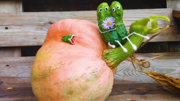 Funny Figure Cucumbers Garden Example Decorative Work Vegetables Autumn Harvest — Stock Video