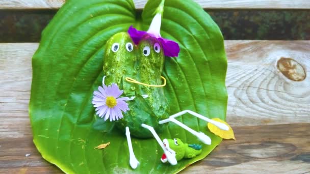Vicces Figura Uborkából Kertben Egy Példa Zöldségekkel Végzett Dekorációs Munkára — Stock videók