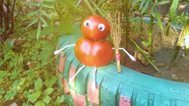 Bahçedeki Domateslerden Komik Bir Figür Sebzelerle Dekoratif Bir Çalışma Örneği — Stok video