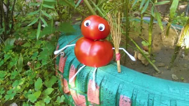 Funny Figure Tomatoes Garden Example Decorative Work Vegetables Autumn Harvest — Stock Video