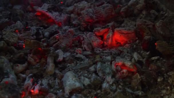 불이꺼진 뒤에는 뿌려진 식감을 풍겼다 — 비디오