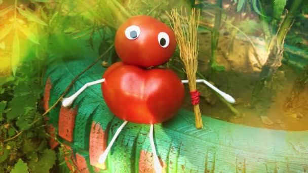 Figur Lucu Dari Tomat Kebun Contoh Karya Dekoratif Dengan Sayuran — Stok Video