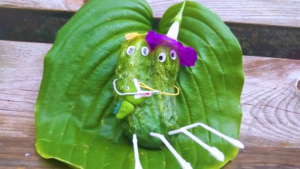 Funny Figure Cucumbers Garden Example Decorative Work Vegetables Autumn Harvest — Stock Video