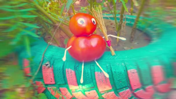 Vicces Figura Paradicsomból Kertben Egy Példa Zöldségekkel Végzett Dekorációs Munkára — Stock videók