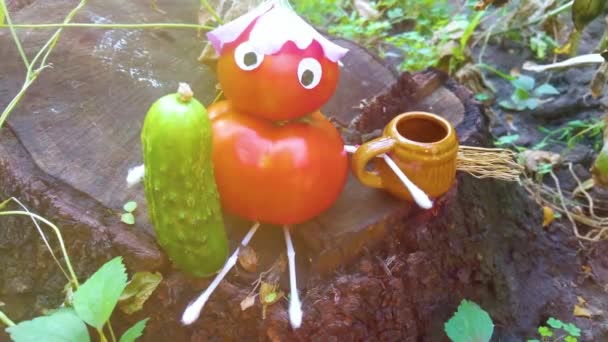 Funny Figure Tomatoes Garden Example Decorative Work Vegetables Autumn Harvest — Stock Video