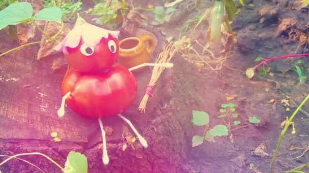 Funny Figure Tomatoes Garden Example Decorative Work Vegetables Autumn Harvest — Stock Video