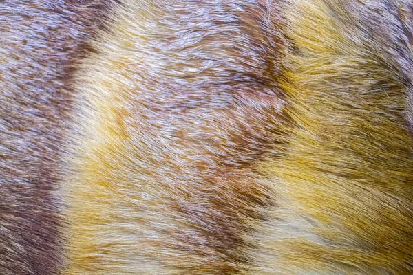 Background from natural fur. Fox fur background