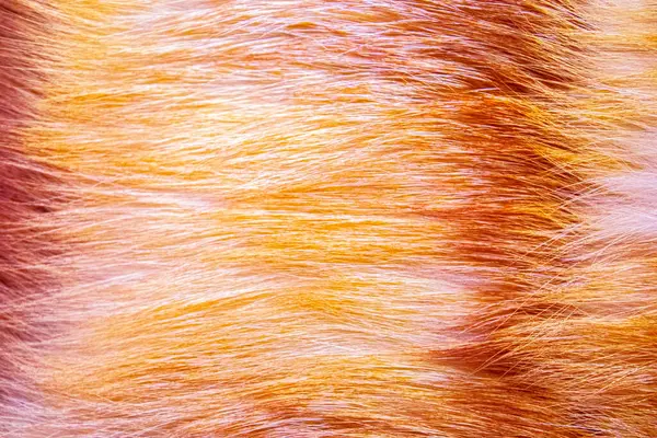 Background from natural fur. Fox fur background