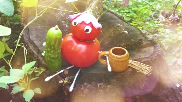 Αστεία Φιγούρα Από Ντομάτες Στον Κήπο Ένα Παράδειγμα Διακοσμητικής Εργασίας — Αρχείο Βίντεο