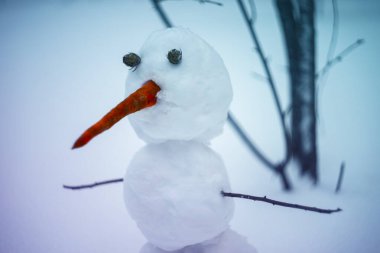 Yakın plan mutlu kardan adam bahçede