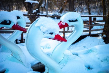 Karda duran kuğu şeklinde katamaranlar. tatil kavramı