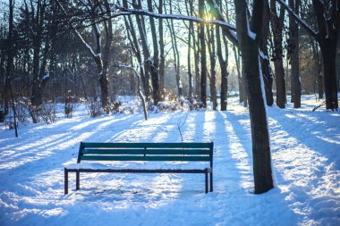 Kış Sahnesi. Parktaki Yeşil Benç Karla kaplı.