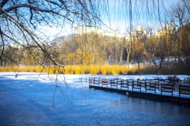 Güneşli bir günde gölü olan kış parkı