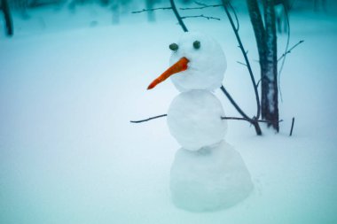 Yakın plan mutlu kardan adam bahçede