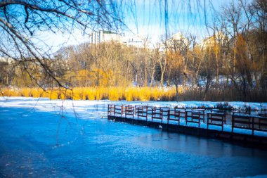 Güneşli bir günde gölü olan kış parkı