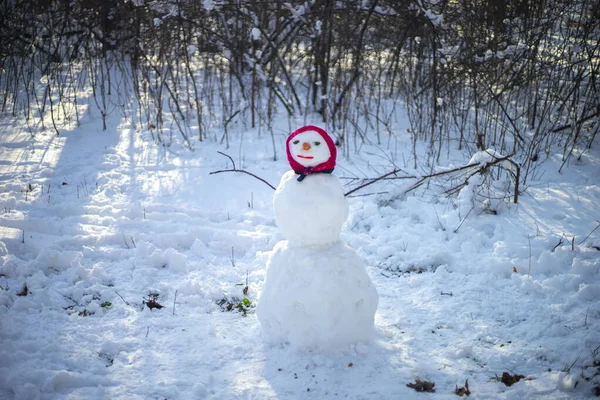 closeup happy snowman in the garden
