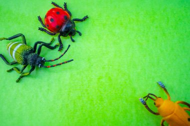 Arkaplanda plastik böcek oyuncakları