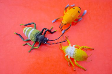 Arkaplanda plastik böcek oyuncakları