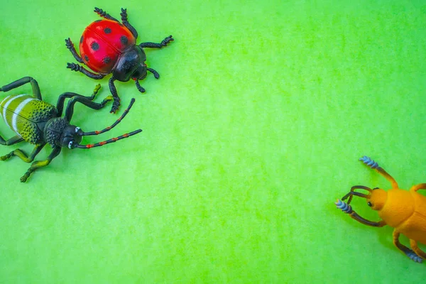 Plastic Insect Toys Color Background — Stock Photo, Image