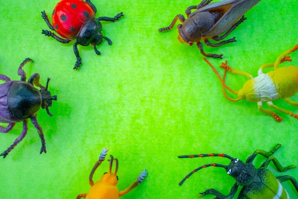 色の背景にプラスチック昆虫のおもちゃ — ストック写真