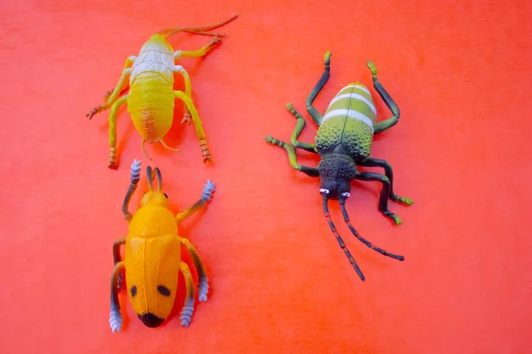 彩色背景塑料昆虫玩具 — 图库照片