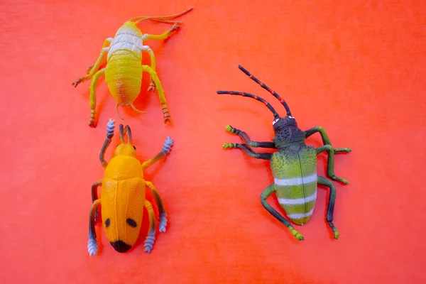 Plastic Insect Toys Color Background — Stock Photo, Image