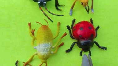 Yeşil arka planda plastik böcek oyuncakları