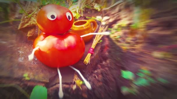 Funny Figure Tomatoes Garden Example Decorative Work Vegetables Autumn Harvest — Stock Video